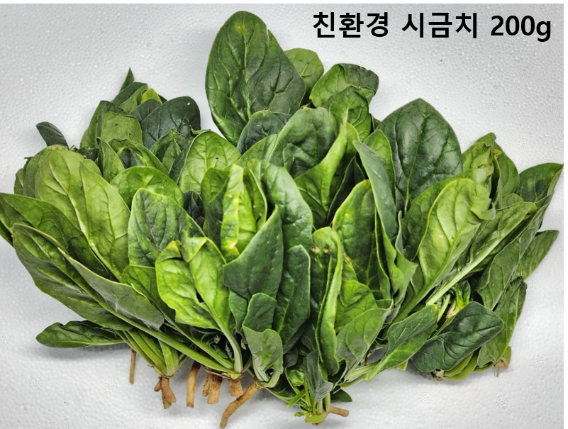 이미지3